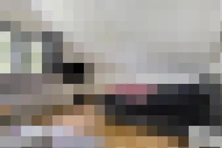 Pellerij 6 Delfzijl thumbnail 43