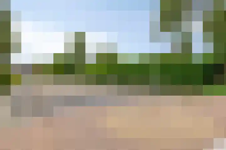Pellerij 6 Delfzijl thumbnail 6
