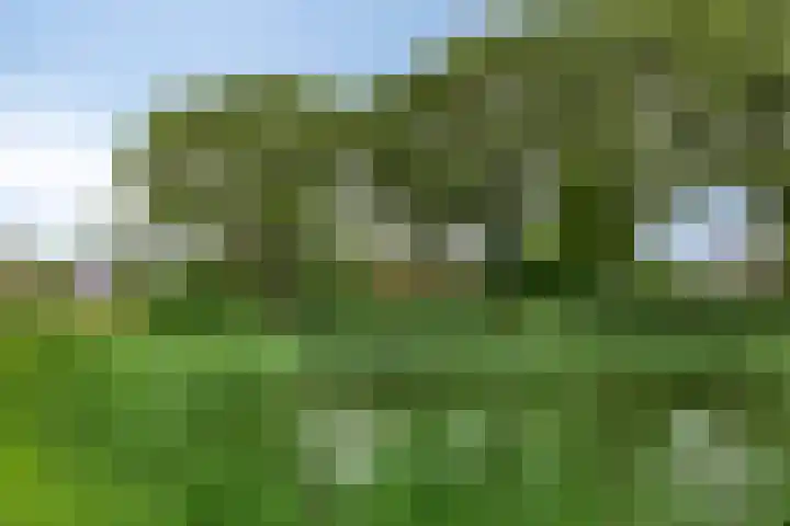 Pellerij 6 Delfzijl thumbnail 7