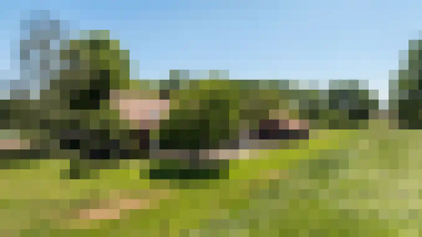 Pelmersheideweg 22 Weert thumbnail 10