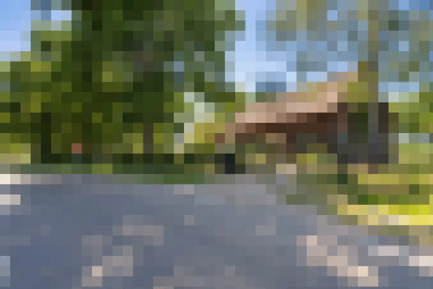 Pelmersheideweg 22 Weert thumbnail 12