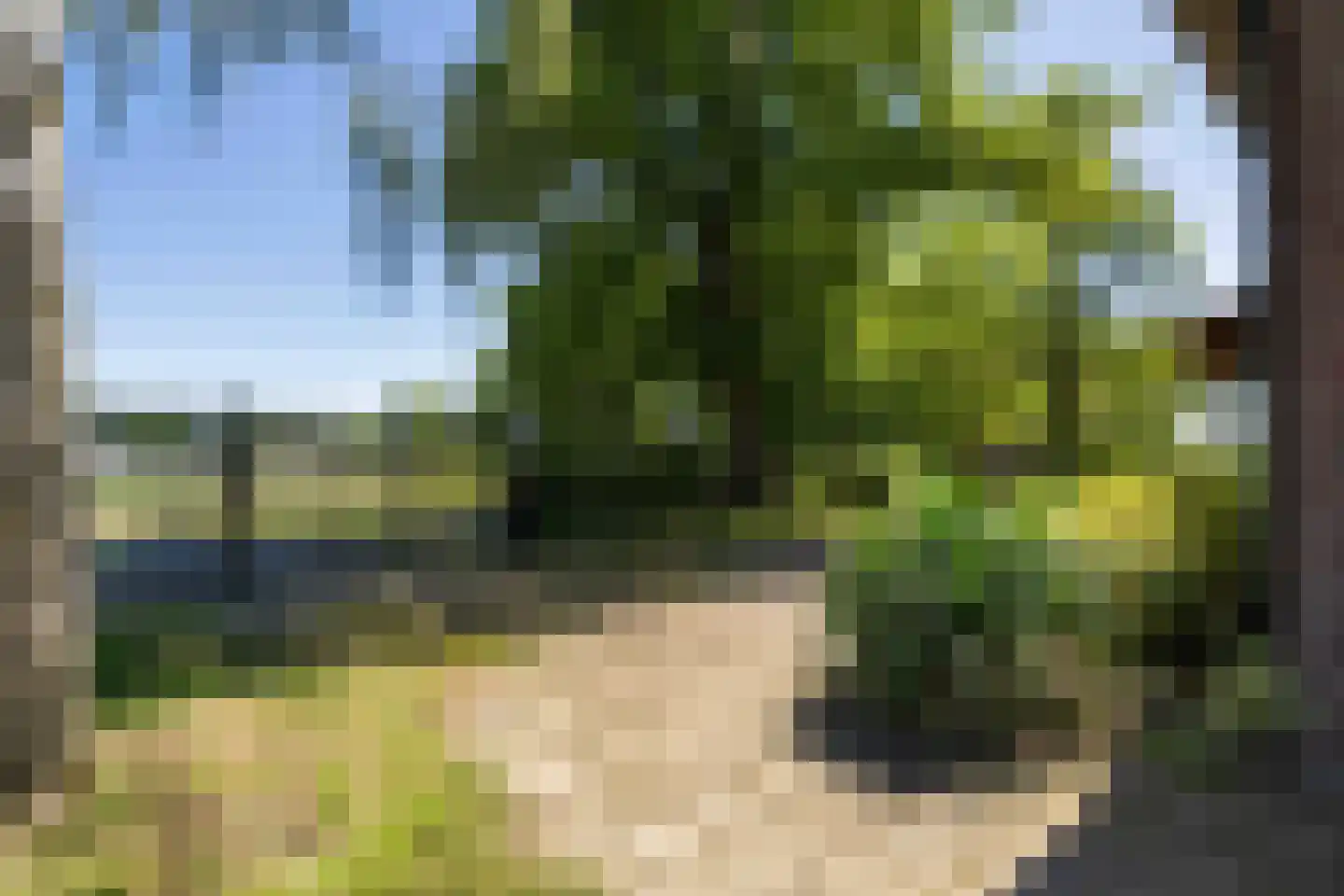 Pelmersheideweg 22 Weert thumbnail 13