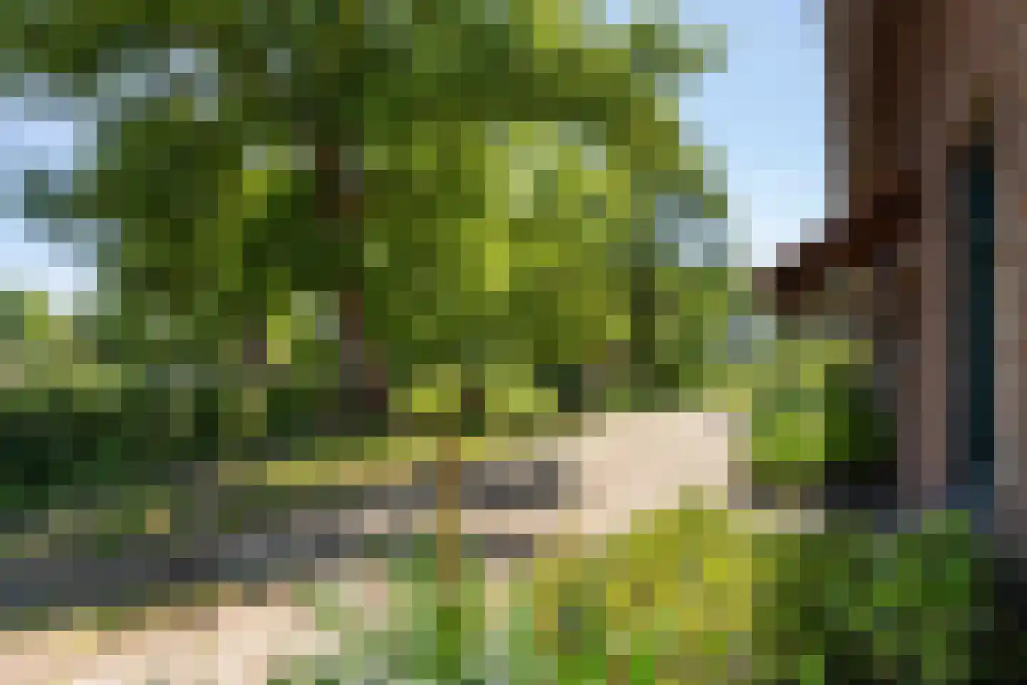 Pelmersheideweg 22 Weert thumbnail 16