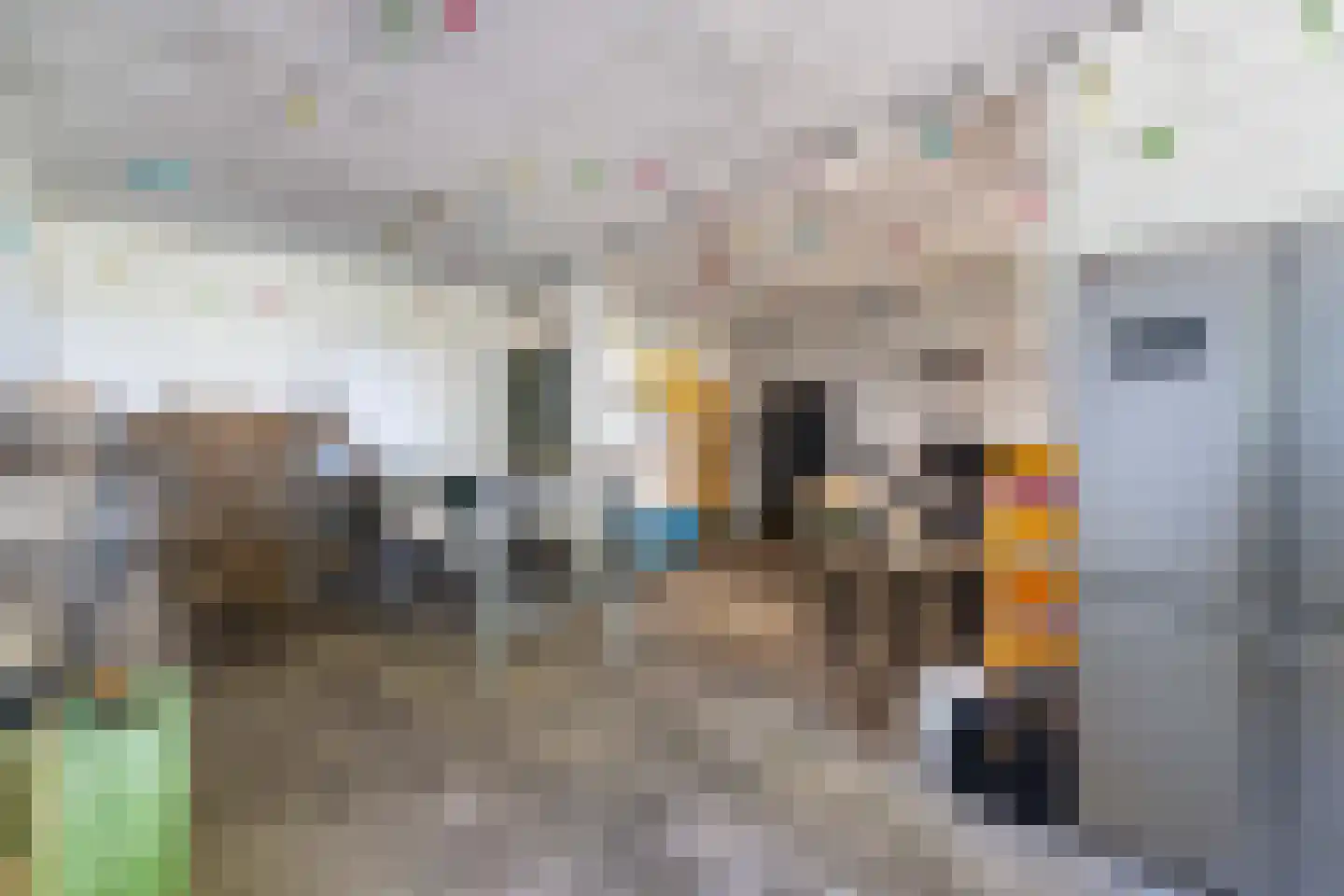 Pelmersheideweg 22 Weert thumbnail 31