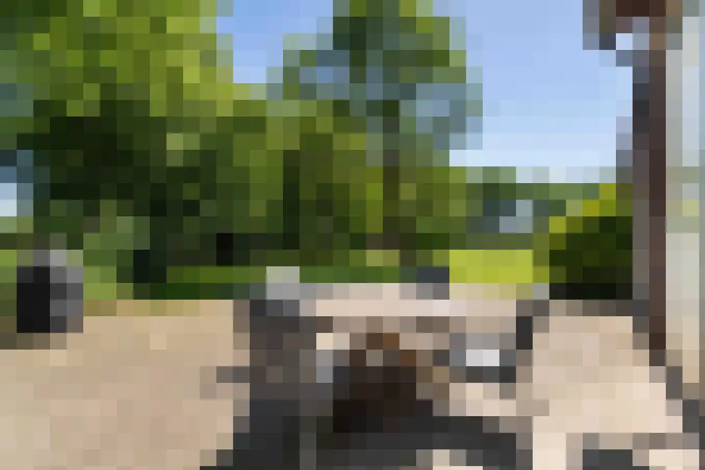 Pelmersheideweg 22 Weert thumbnail 56