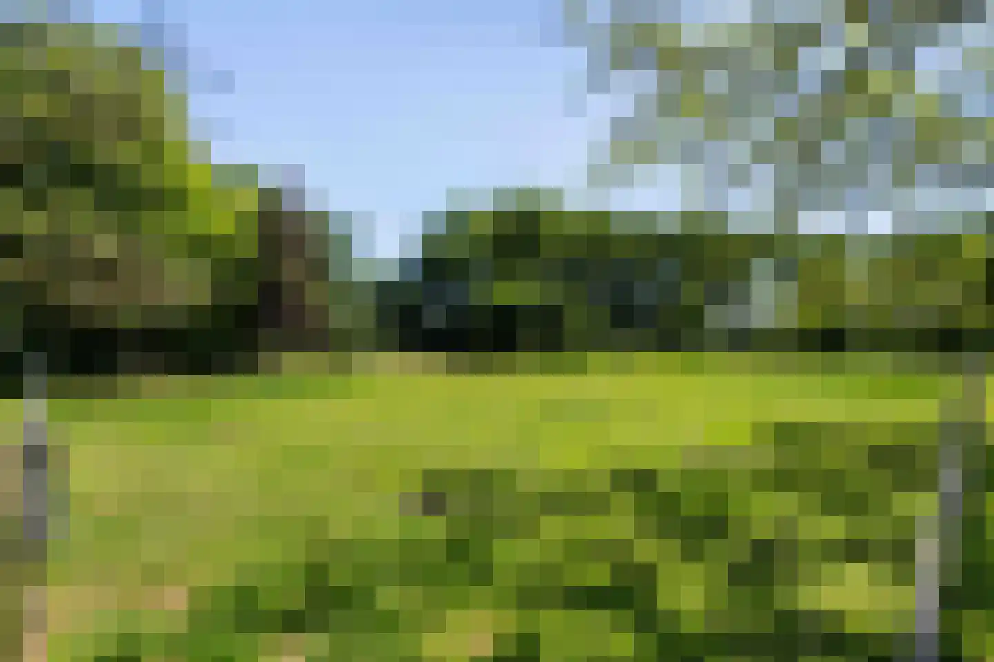 Pelmersheideweg 22 Weert thumbnail 59