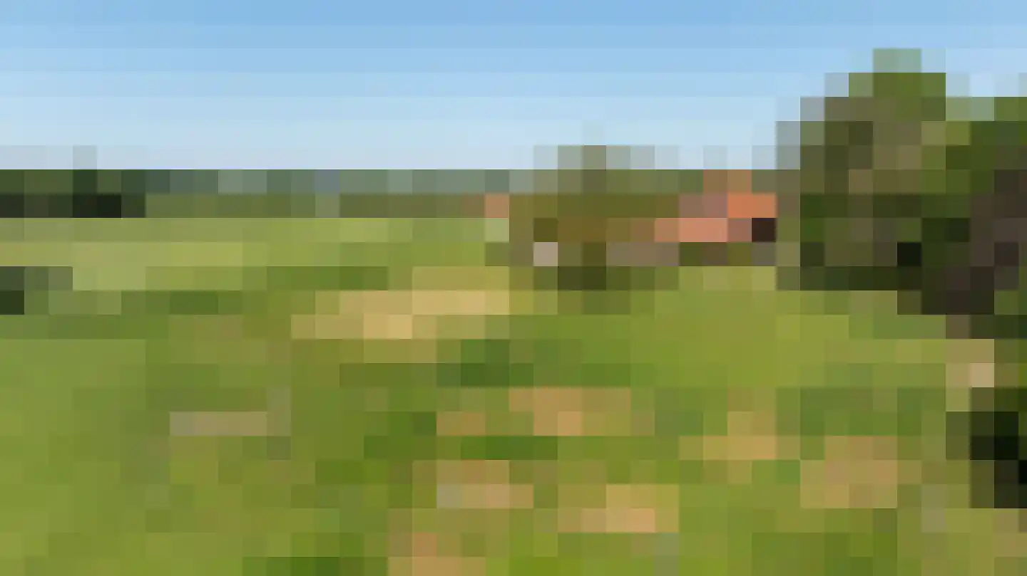 Pelmersheideweg 22 Weert thumbnail 6