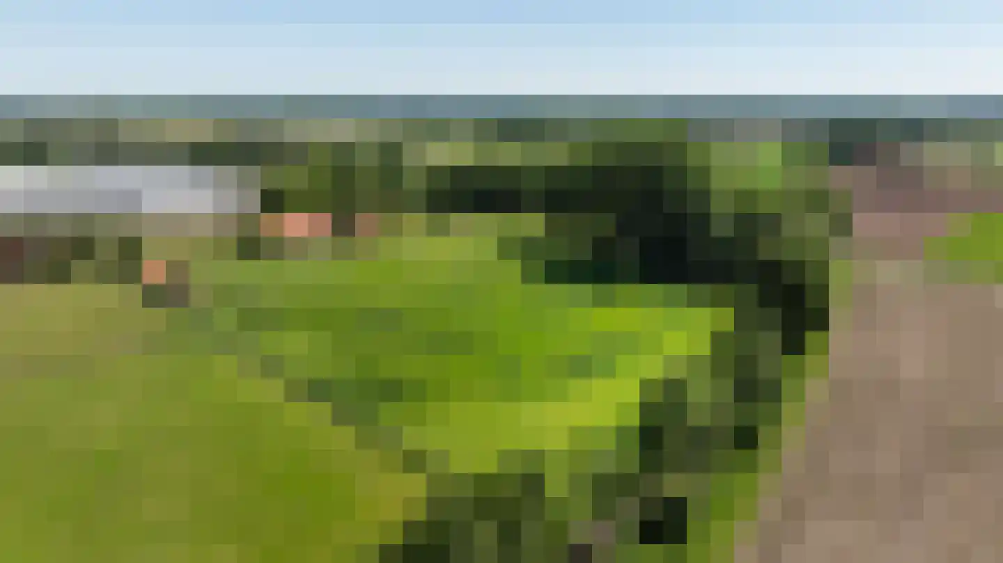 Pelmersheideweg 22 Weert thumbnail 62
