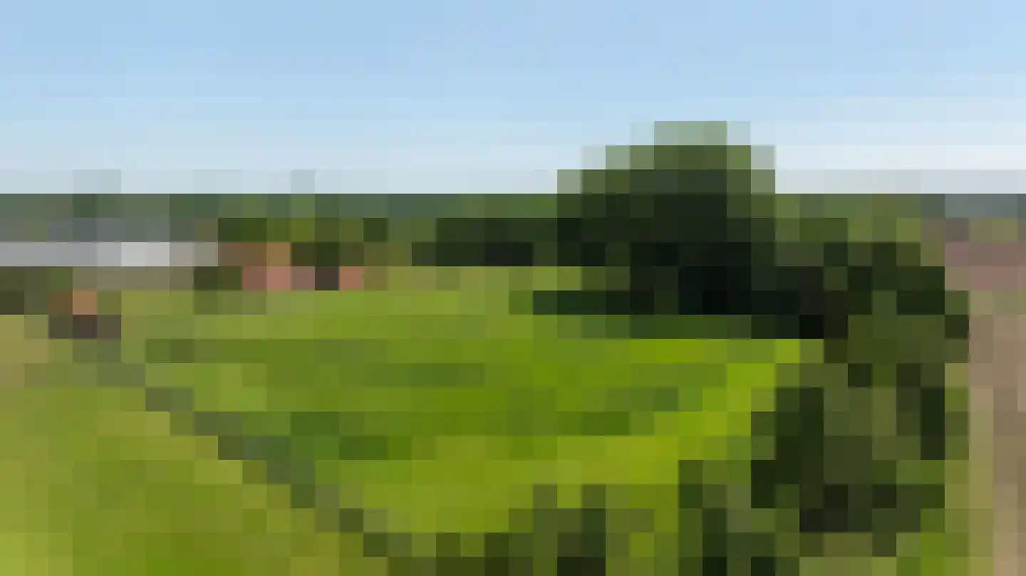 Pelmersheideweg 22 Weert thumbnail 7