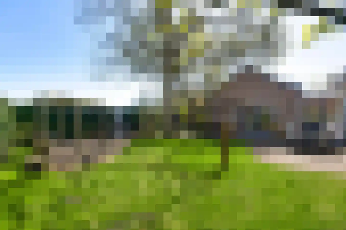 Pelmersheideweg 7 Weert thumbnail 45