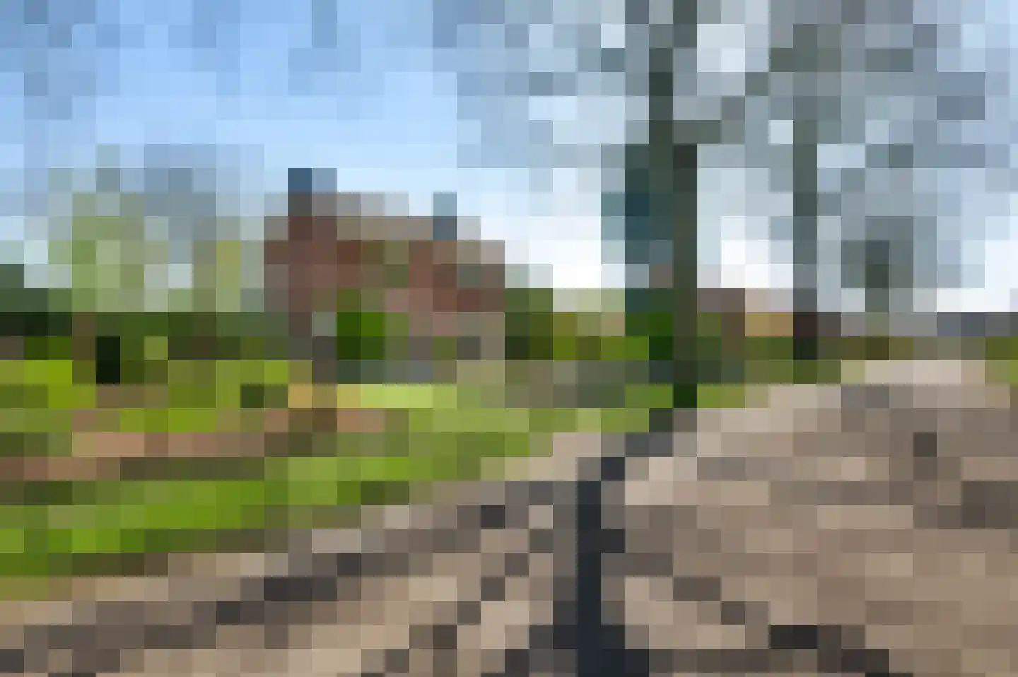 Pelmersheideweg 7 Weert thumbnail 46