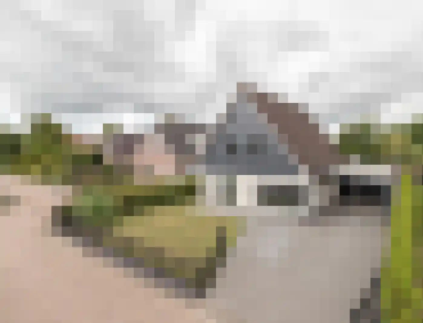 Pelmolen 1 in Niezijl