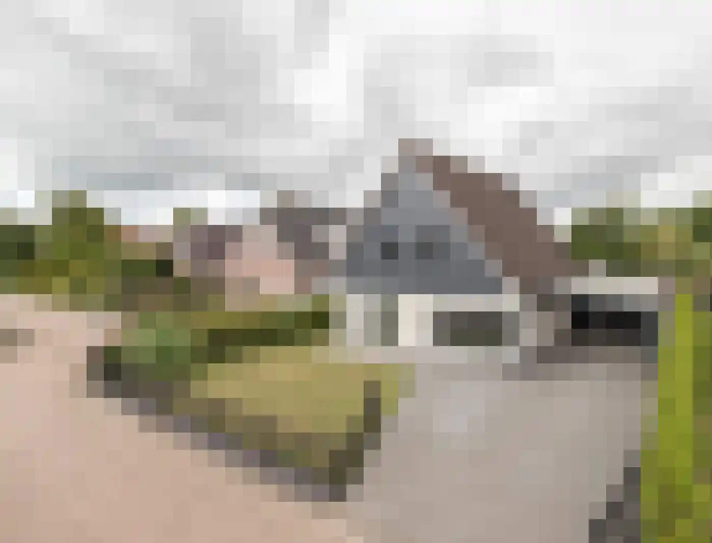 Pelmolen 1 in Niezijl