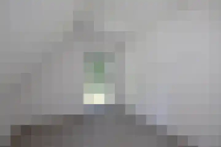 Pelmolen 11 de Lutte thumbnail 11