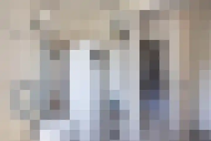 Pelmolen 11 de Lutte thumbnail 13