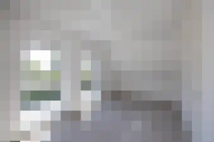 Pelmolen 11 de Lutte thumbnail 14