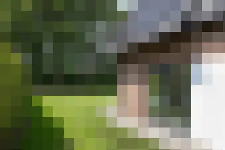 Pelmolen 11 de Lutte thumbnail 19