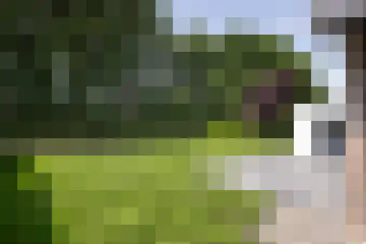 Pelmolen 11 de Lutte thumbnail 20