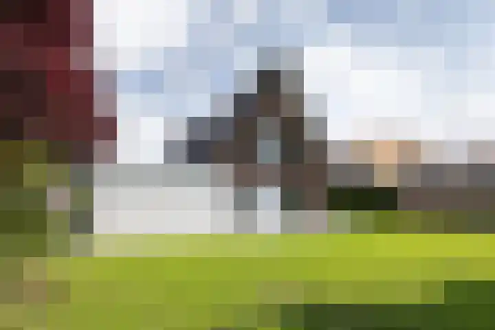 Pelmolen 11 de Lutte thumbnail 22
