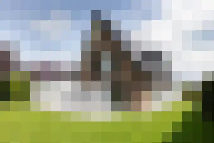 Pelmolen 11 de Lutte thumbnail 23