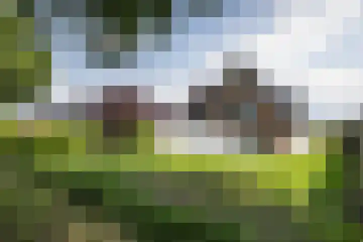 Pelmolen 11 de Lutte thumbnail 24