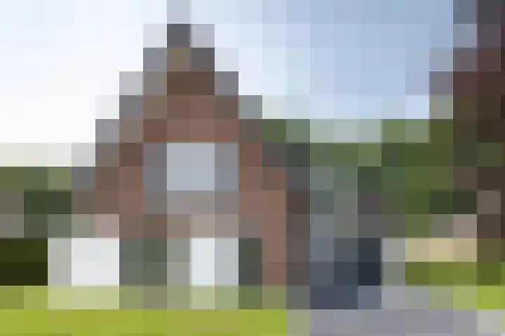 Pelmolen 11 de Lutte thumbnail 25