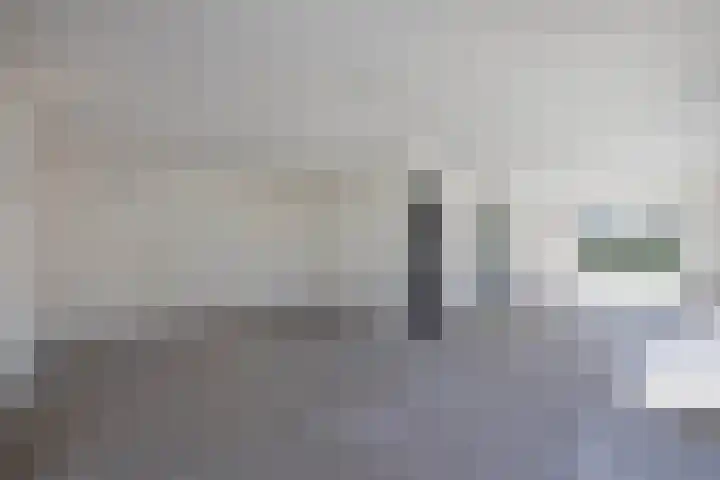 Pelmolen 11 de Lutte thumbnail 8