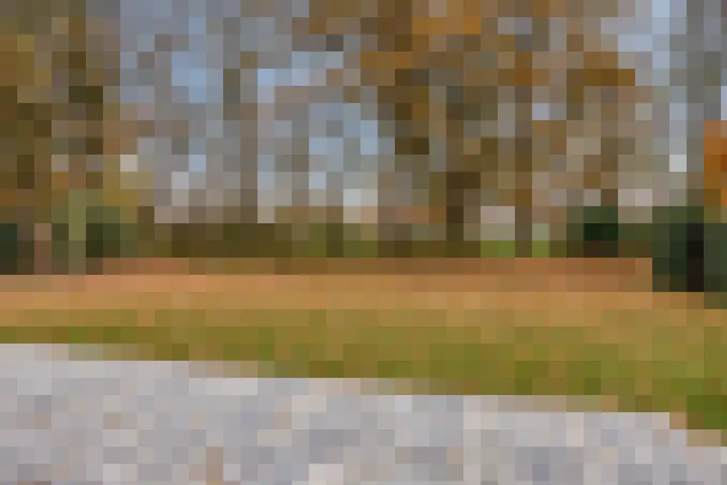 Pelmolen 17 de Lutte thumbnail 25