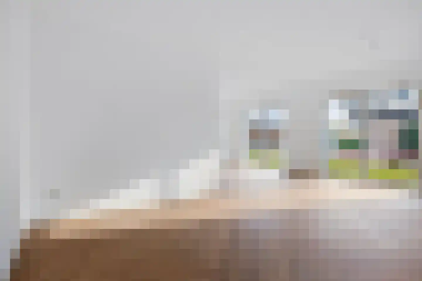 Pelmolen 17 de Lutte thumbnail 5