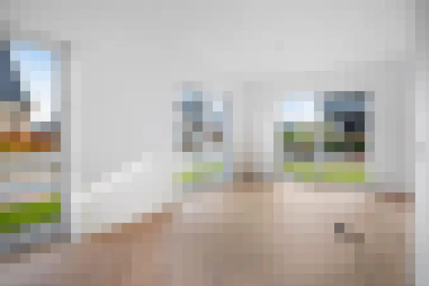 Pelmolen 17 de Lutte thumbnail 7