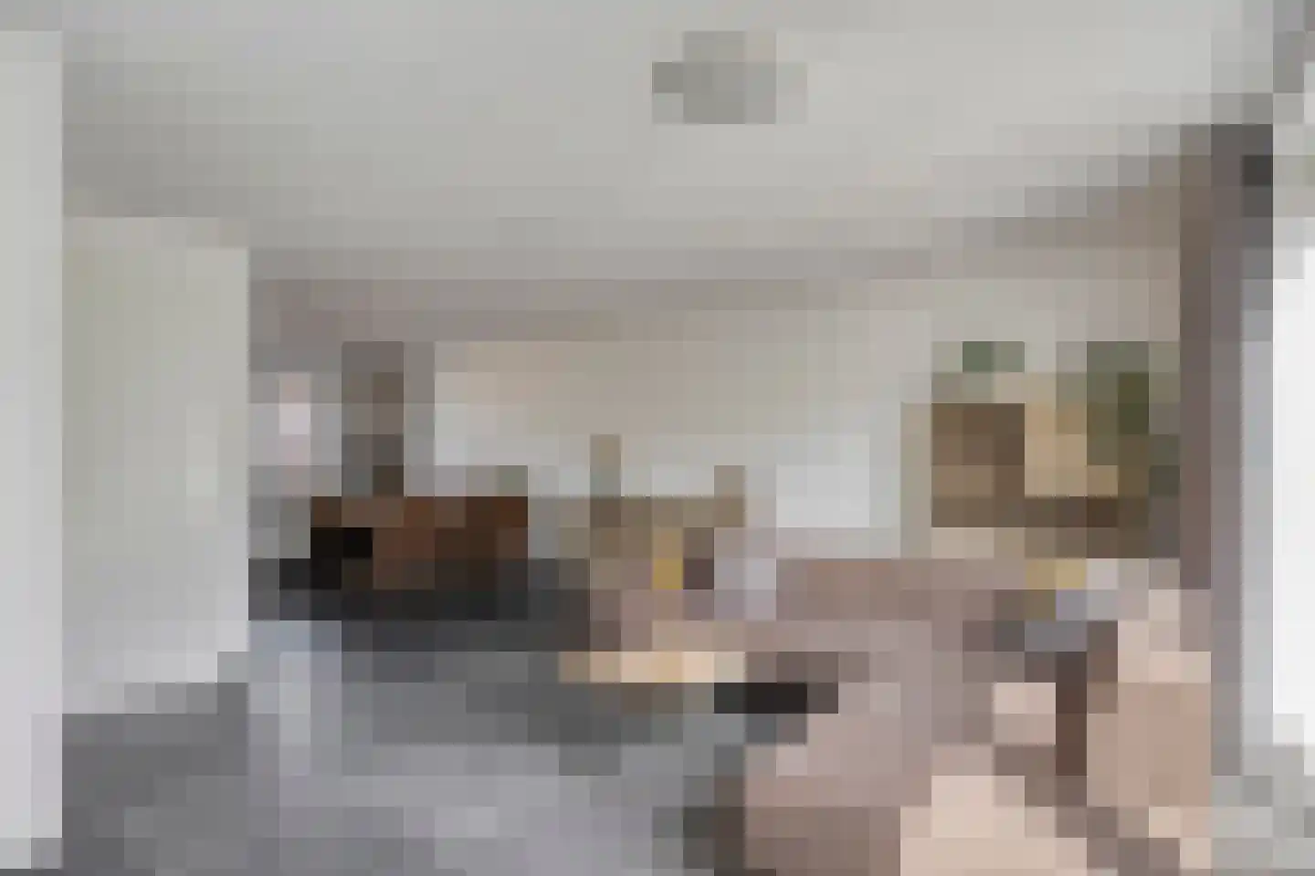 Pelmolen 18 Oploo thumbnail 11