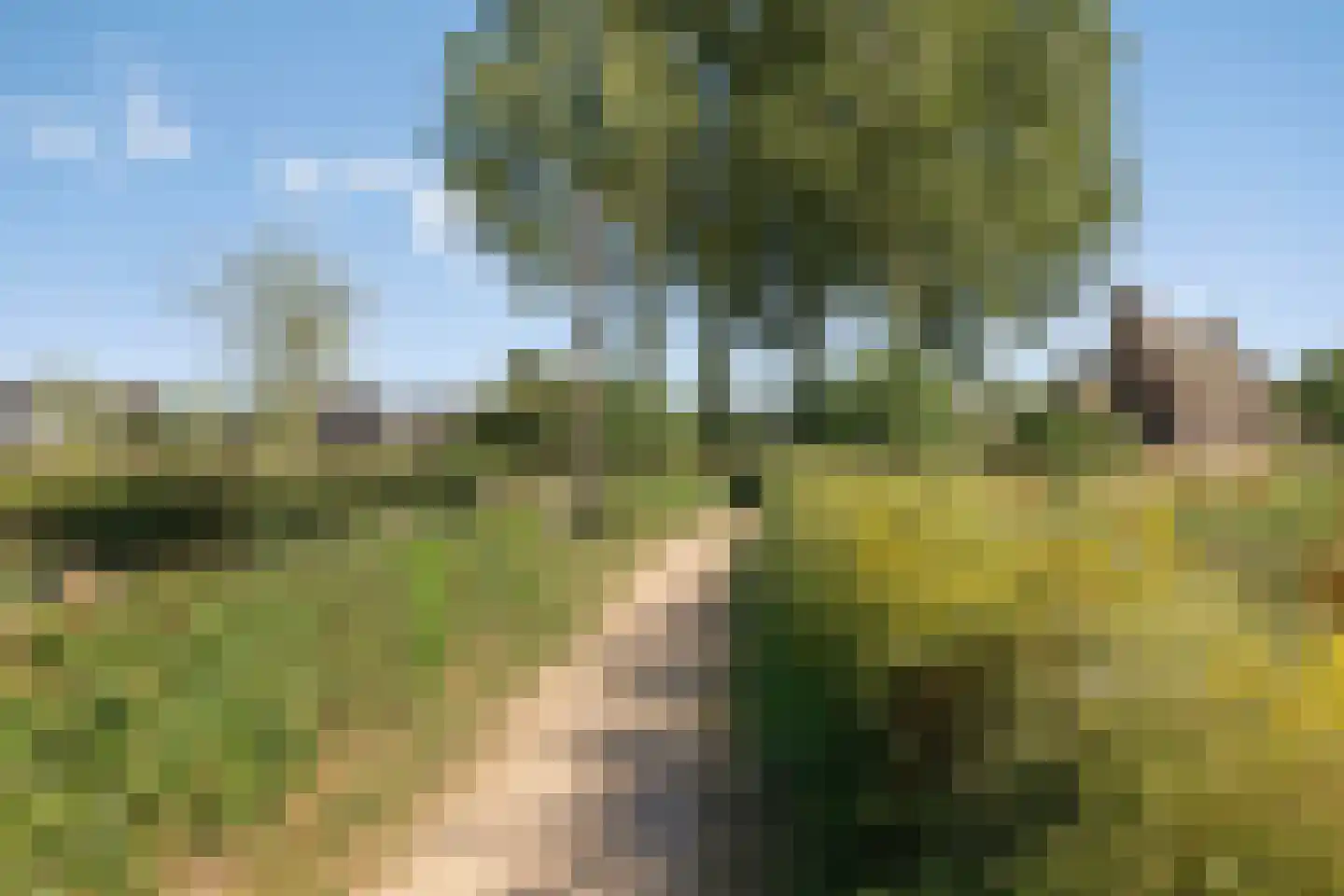 Pelmolen 18 Oploo thumbnail 40