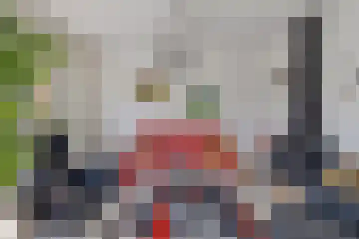 Pelmolen 20 Koog aan de Zaan thumbnail 10