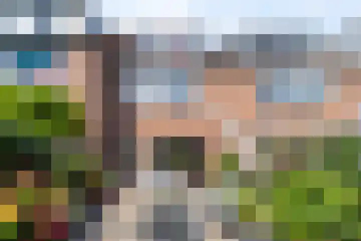 Pelmolen 20 Koog aan de Zaan thumbnail 31