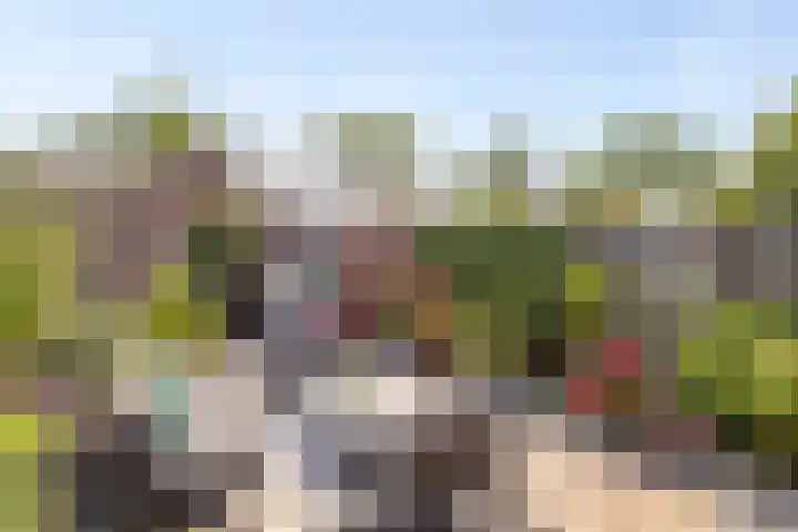 Pelmolen 20 Koog aan de Zaan thumbnail 33