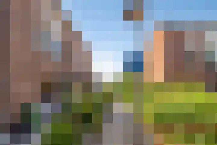 Pelmolen 20 Koog aan de Zaan thumbnail 36