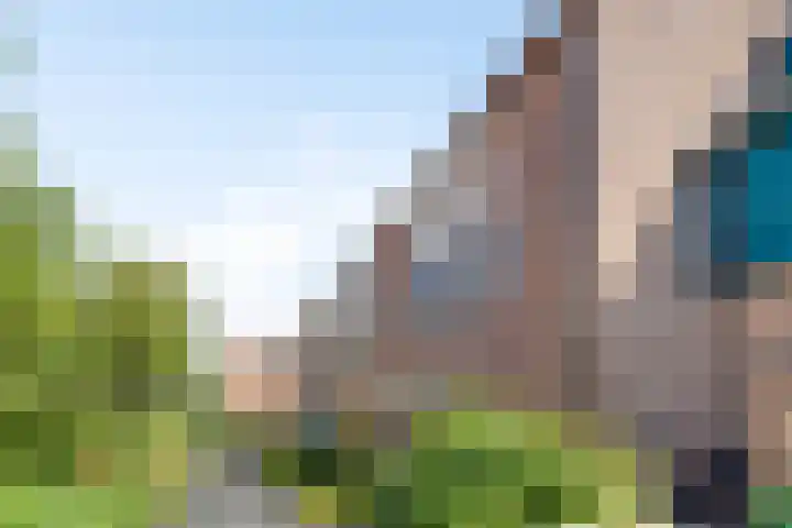 Pelmolen 20 Koog aan de Zaan thumbnail 37