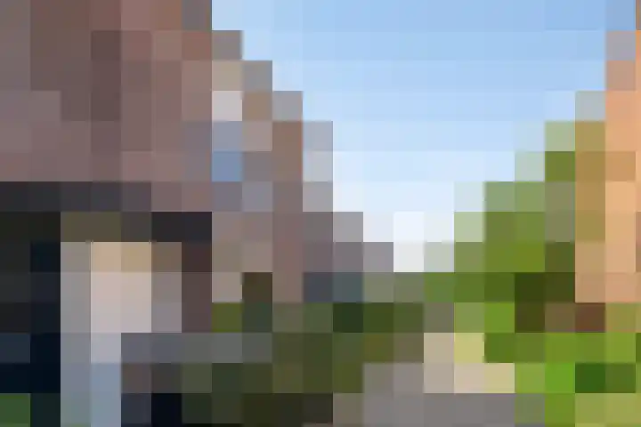 Pelmolen 20 Koog aan de Zaan thumbnail 5