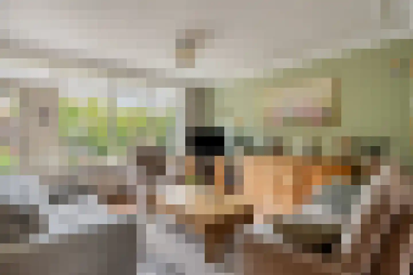 Pelmolen 25 Alkmaar thumbnail 11