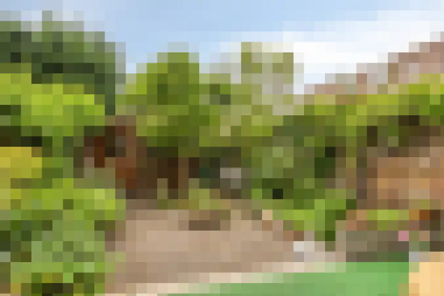 Pelmolen 25 Alkmaar thumbnail 18
