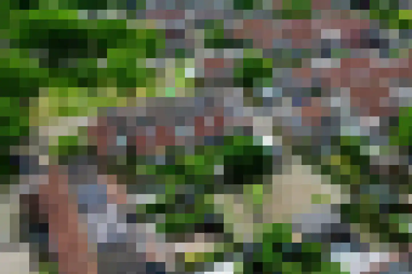 Pelmolen 25 Alkmaar thumbnail 20