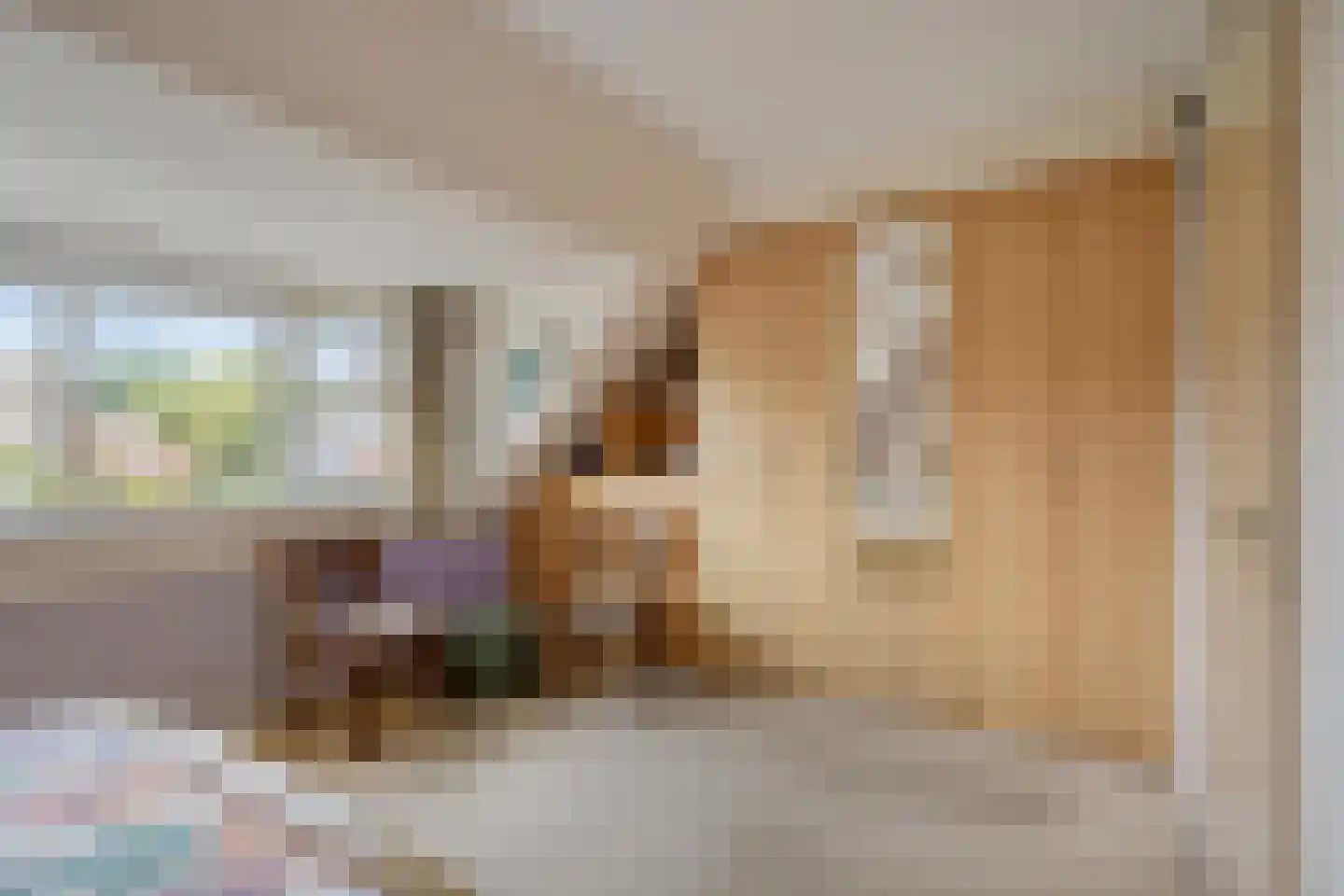 Pelmolen 25 Alkmaar thumbnail 25