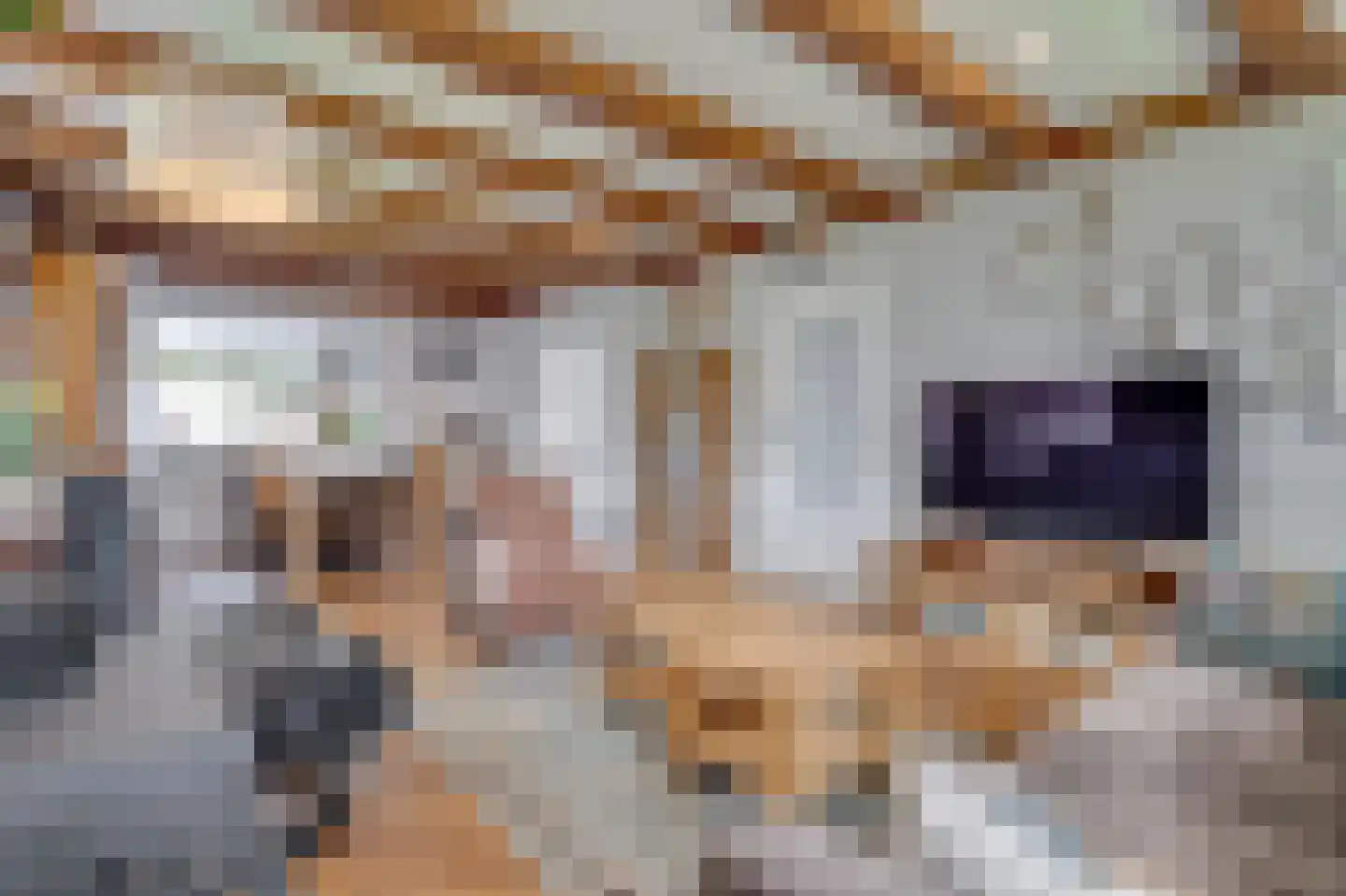 Pelmolen 31 Noord-Scharwoude thumbnail 5