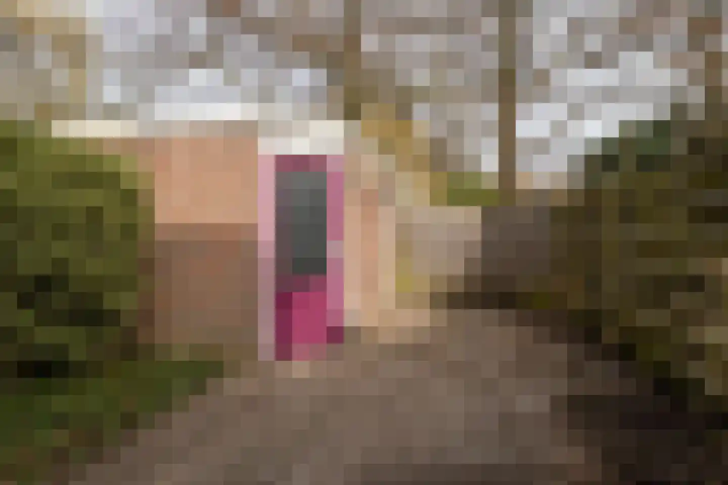 Pelmolen 38 Heerhugowaard thumbnail 10