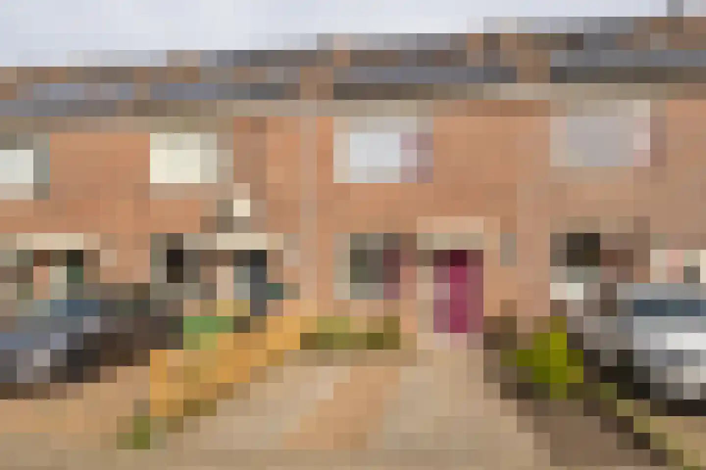 Pelmolen 38 Heerhugowaard thumbnail 34