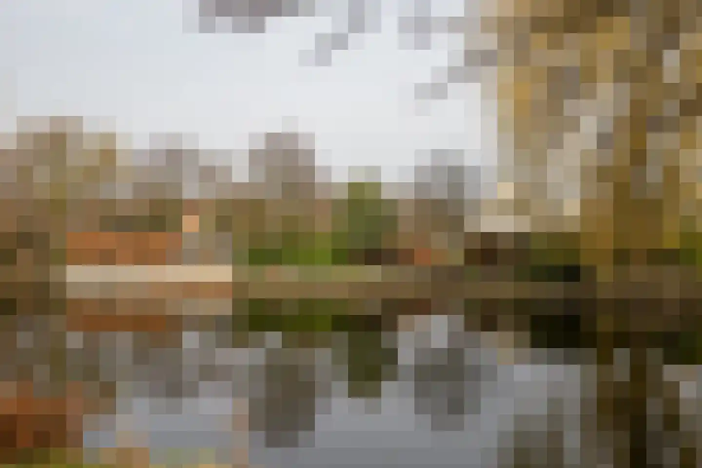 Pelmolen 38 Heerhugowaard thumbnail 35