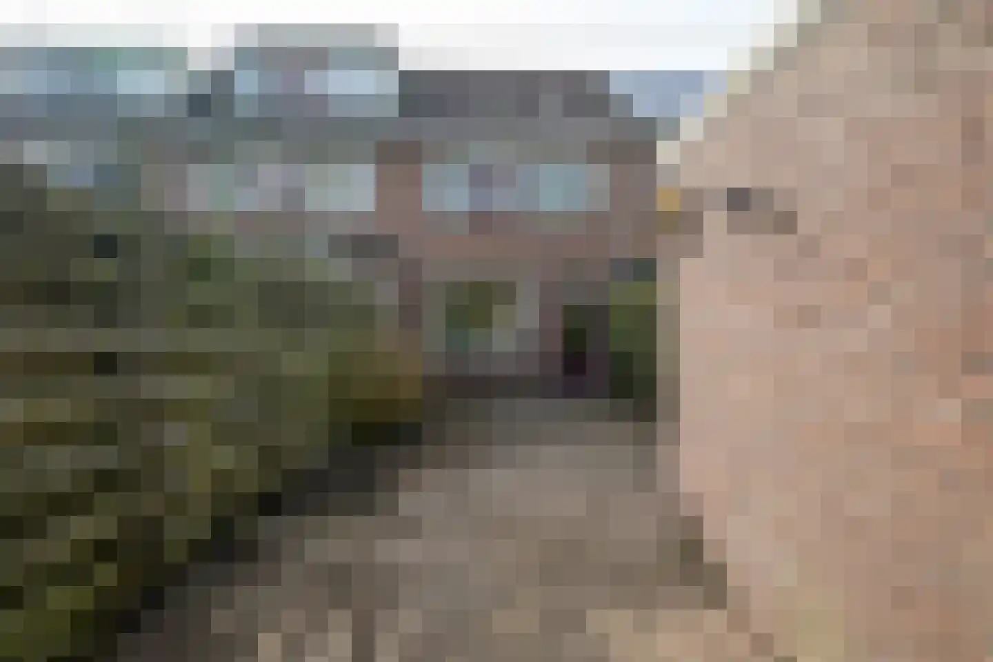 Pelmolen 38 Heerhugowaard thumbnail 5