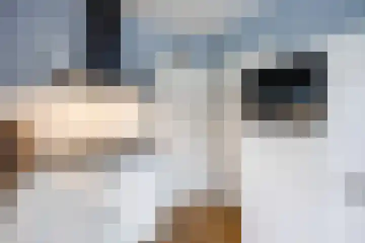 Pelmolen 4 Niezijl thumbnail 18