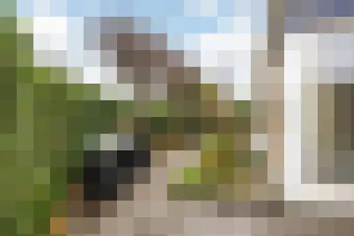 Pelmolen 4 Niezijl thumbnail 25