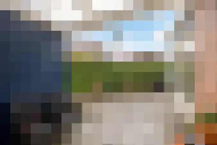 Pelmolen 4 Niezijl thumbnail 28